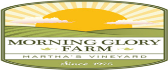 Morning Glory English Daily Ads, Print Media Advertising, Morning Glory Newspaper Ad Agency